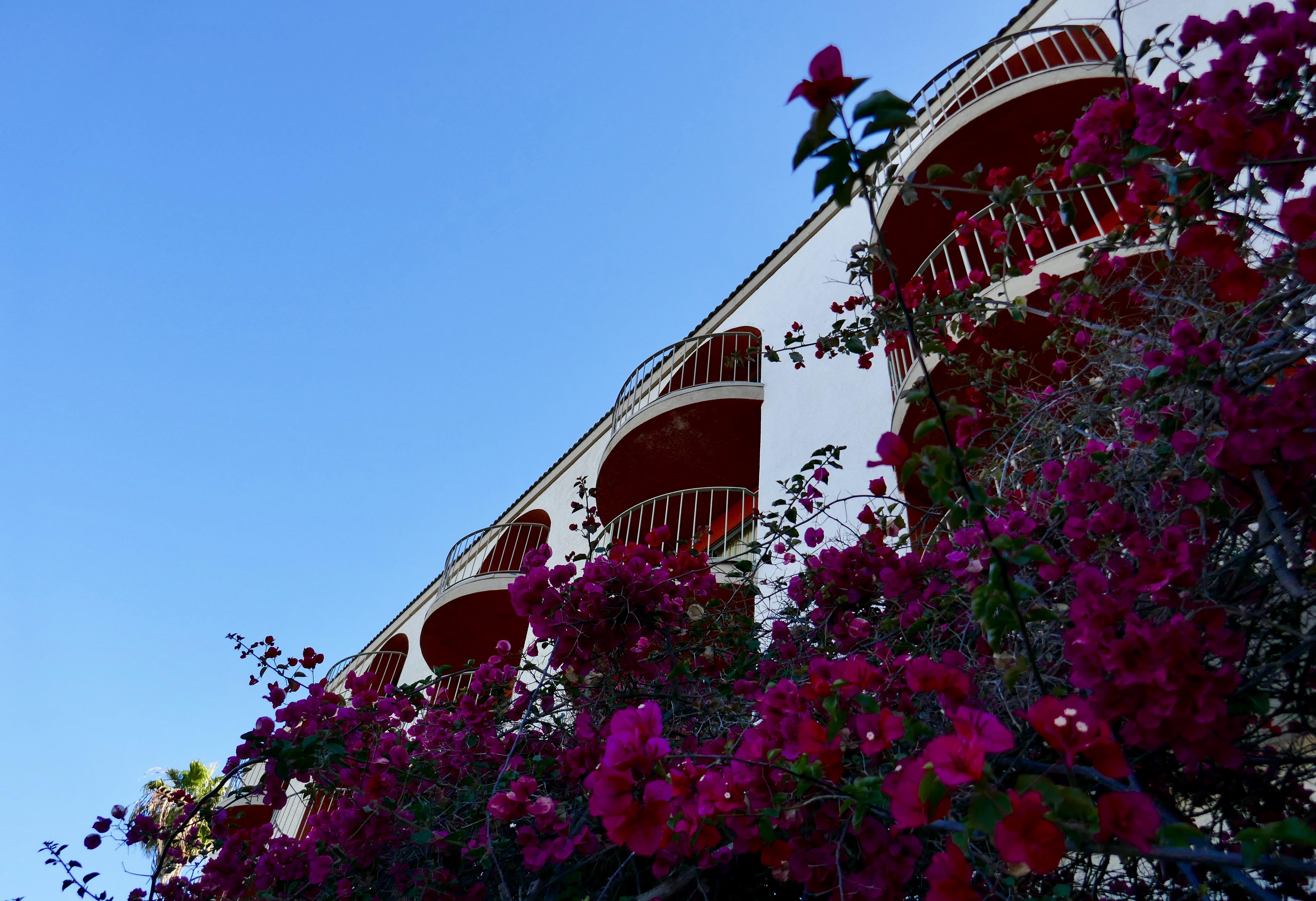 Best Western Golden Sails Hotel Long Beach Exterior foto