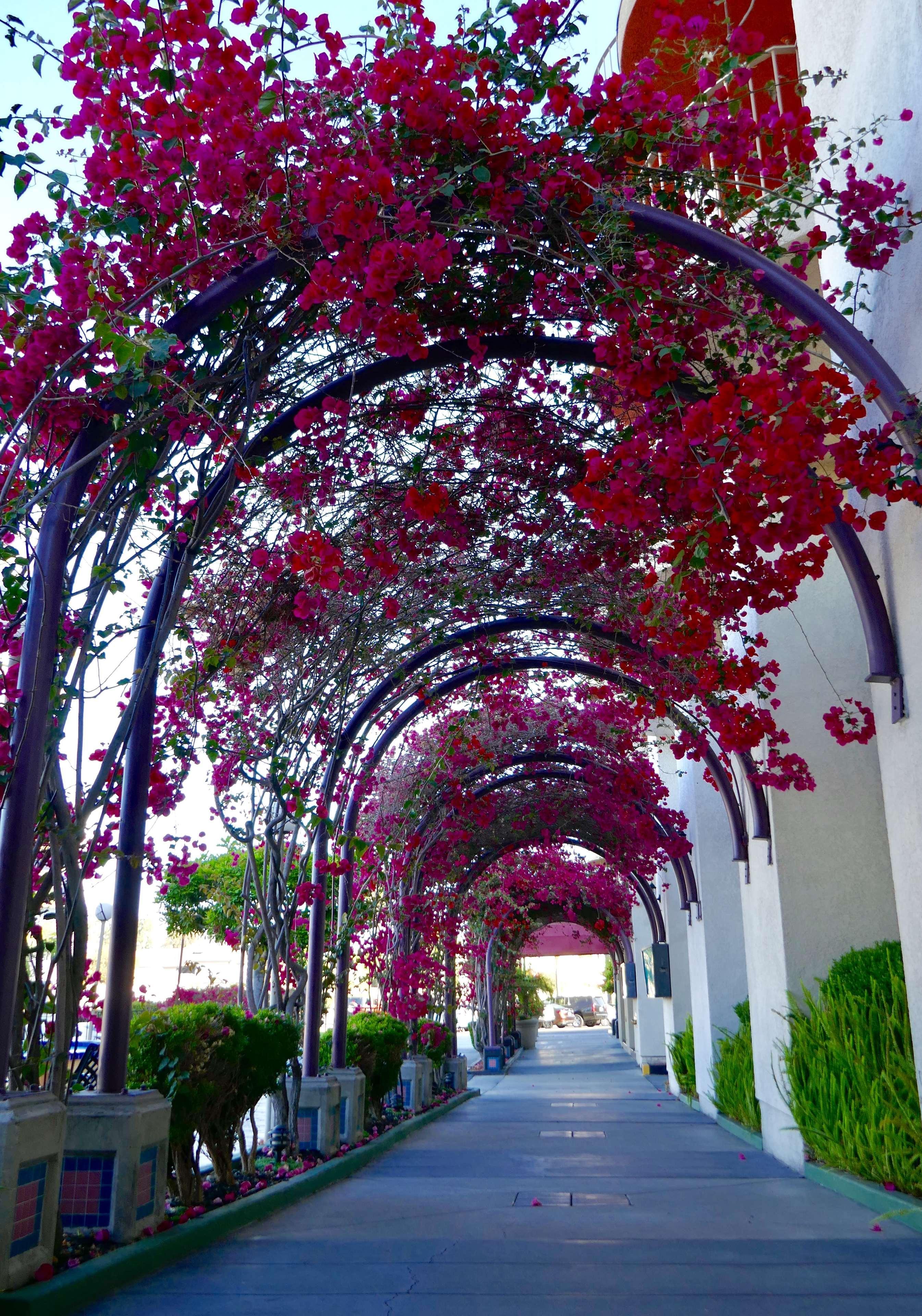 Best Western Golden Sails Hotel Long Beach Exterior foto