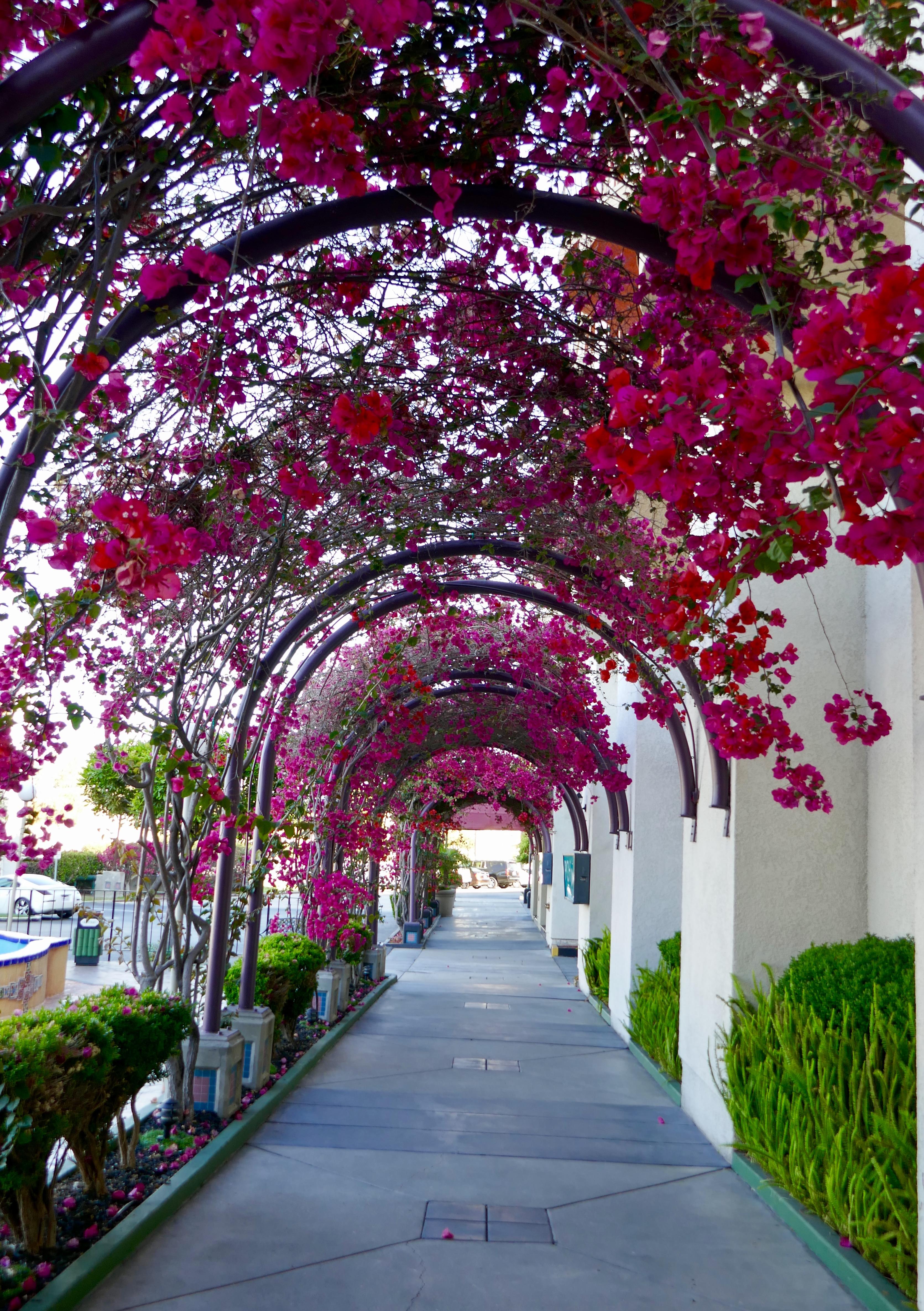 Best Western Golden Sails Hotel Long Beach Exterior foto